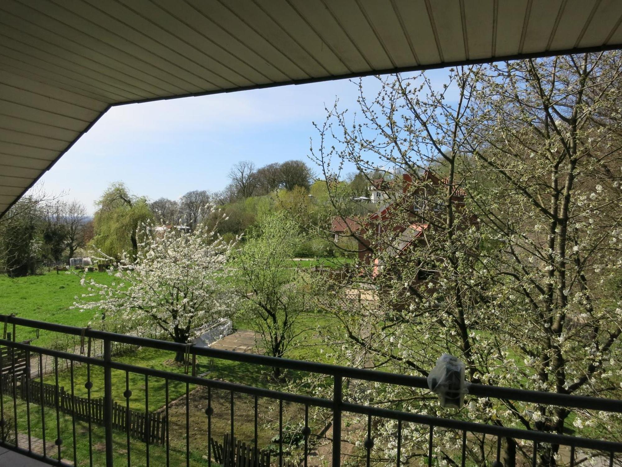 Ferienwohnung Am Teutohang Tecklenburg Exterior foto